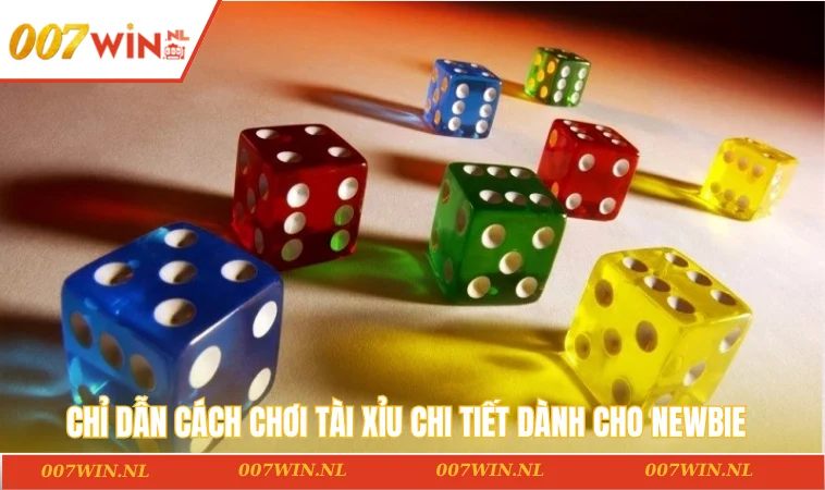 Chỉ dẫn cách chơi tài xỉu chi tiết dành cho newbie